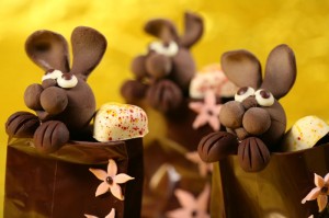 Chocolate_bunnies